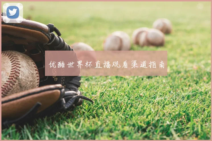 优酷世界杯直播观看渠道指南