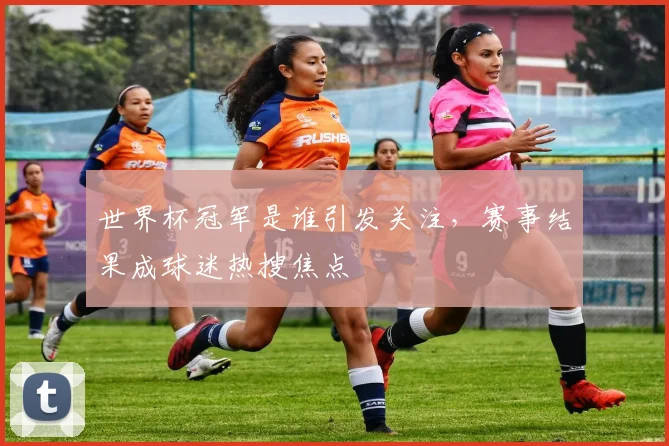 世界杯冠军是谁引发关注，赛事结果成球迷热搜焦点