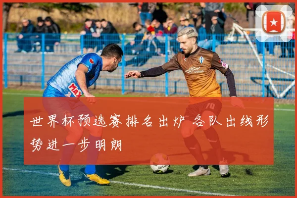 世界杯预选赛排名出炉 各队出线形势进一步明朗