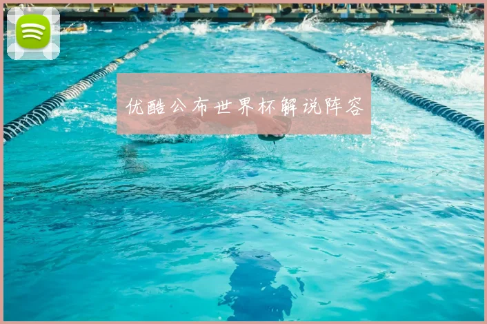 优酷公布世界杯解说阵容