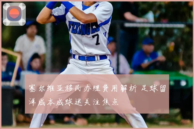 塞尔维亚移民办理费用解析 足球留洋成本成球迷关注焦点