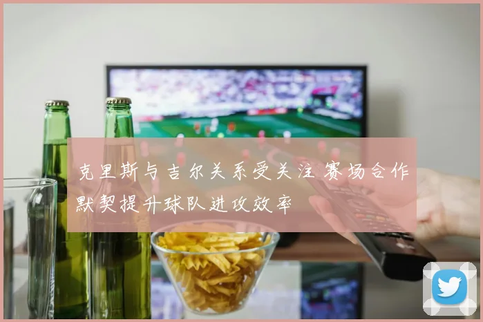 克里斯与吉尔关系受关注 赛场合作默契提升球队进攻效率